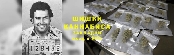 хмурый Алексин