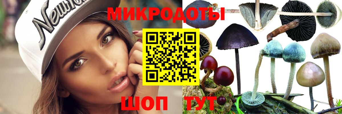 Галлюциногенные грибы ЛСД Кольчугино