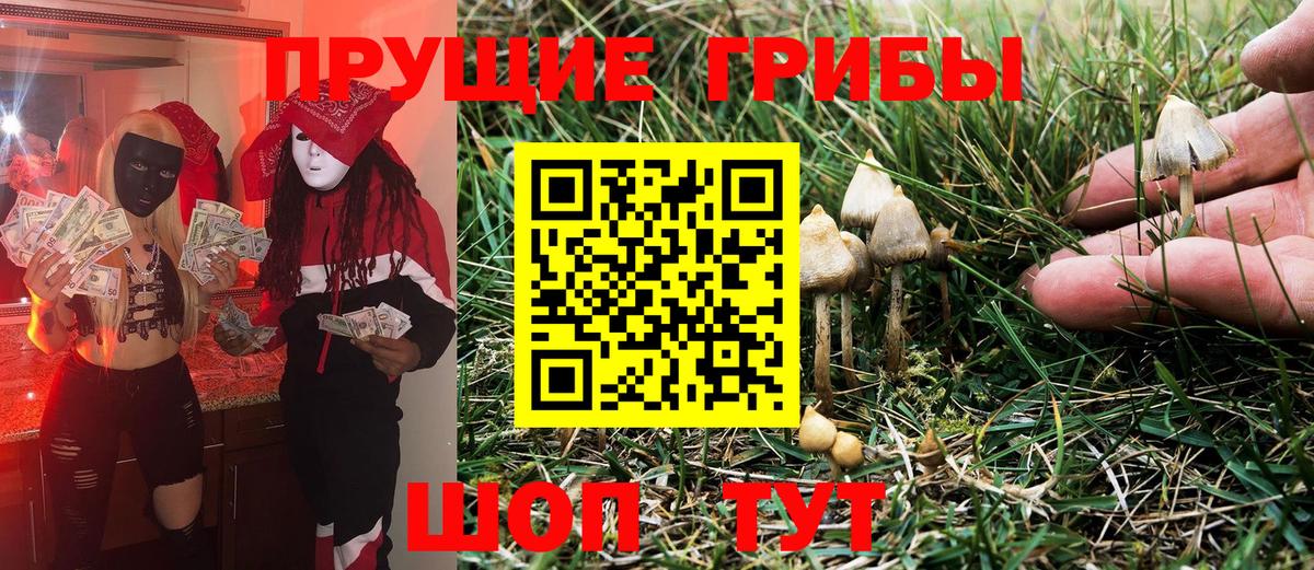 Псилоцибиновые грибы ЛСД  Вход с VPN  Кольчугино 