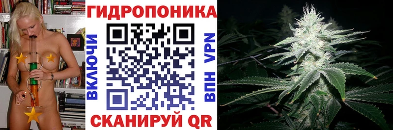 Шишки марихуана семена  Кольчугино 
